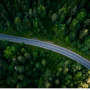 Forest Fire Prevention